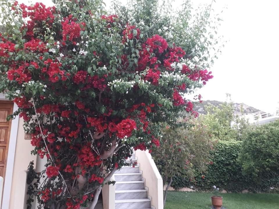Le Due Sorelle Spilia  Dış mekan fotoğraf